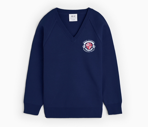 V-Neck Pullover - Navy