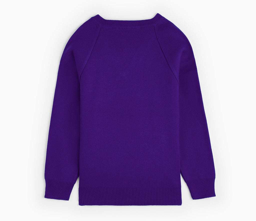 V-Neck Pullover - Purple